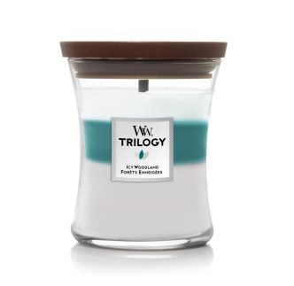 Woodwick Trilogy Icy Woodland mirisna svijeća, Medium