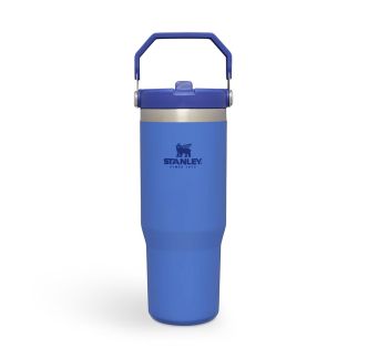 STANLEY The IceFlow™ Flip Straw Tumbler | 0.89l, iris