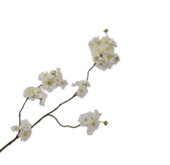 Grana japanska trešnja Blossom, 84cm