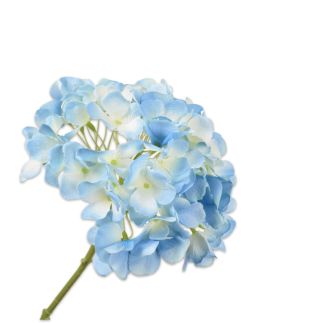 Cvijet Hortenzija, plava, dim. 48 cm