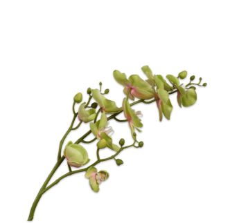Cvijet Orhideja, dim. 89 cm