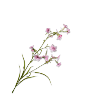 Cvijet NIcotiana roza, 78cm