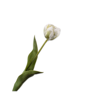 Cvijet Tulipana krem, 47cm
