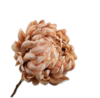 Cvijet Hrizanta mauve, 64cm