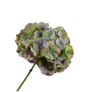 Cvijet Hortenzija zelena/plava, 75cm